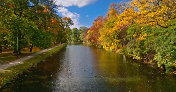 Вид Воздуха Быдгощский Канал Осенью Польская Золотая Осень Городе — стоковое видео