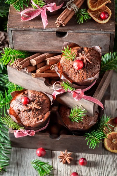 Smakliga Pepparkaksmuffins Med Gran Till Jul Efterrätt Till Jul — Stockfoto