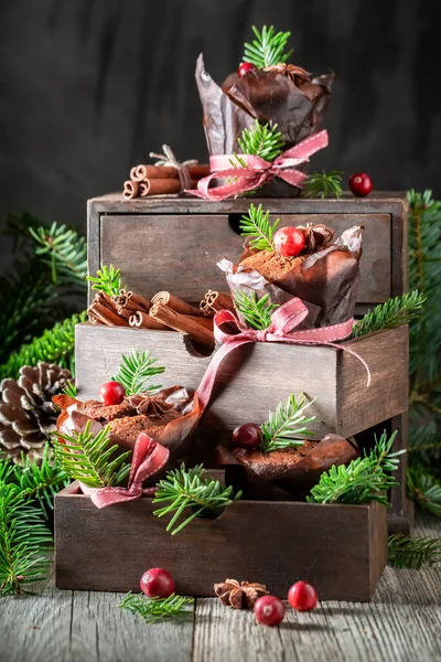 Traditioneel Peperkoek Muffins Met Cranberries Kaneel Voor Kerstmis Toetje Voor — Stockfoto