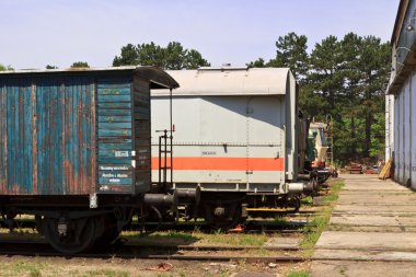 terk edilmiş araba yard
