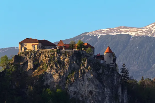 Bled castle — Stock Photo, Image