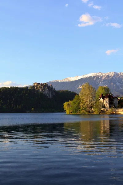 View on the lake of Bled, Slovenia — Stock Photo, Image