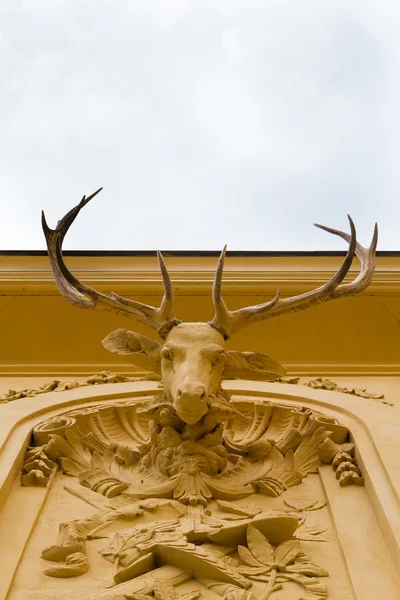 Głowa jelenia na ścianie — Zdjęcie stockowe