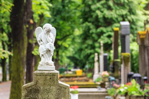 White mourning angel — Stock Photo, Image