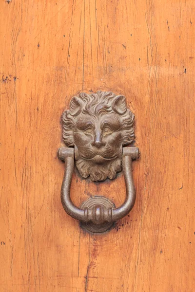 Door knocker on a lion head — Stock Photo, Image