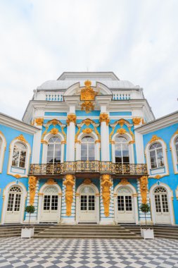 Hermitage catherine Sarayı