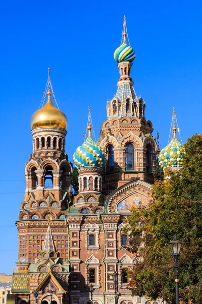 Kostel Spasitele v krvi, st. petersburg — Stock fotografie