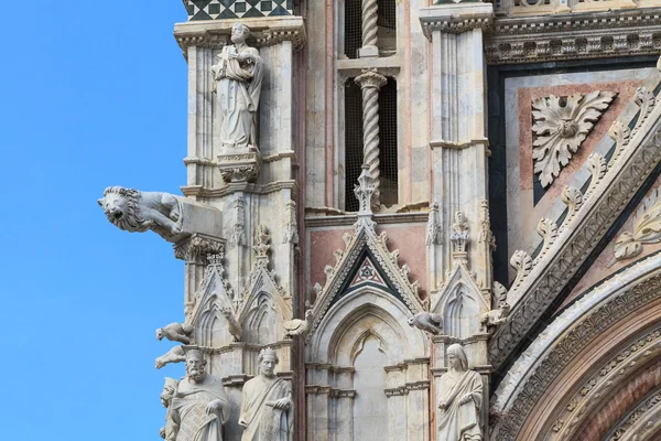 Siena dome detalj — Stockfoto