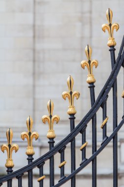 Buckingham Sarayı Kapısı