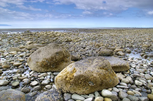 Rotsen op het strand — Stockfoto