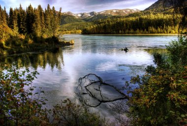Kenai river Güz