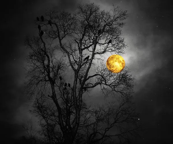 Bu şekilde kötü bir şey geliyor