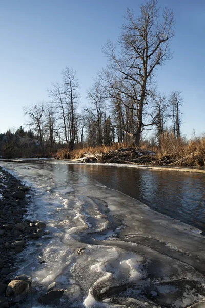 Якір річки льоду візерунки — стокове фото