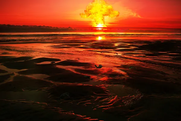 Barışa bir şans verin