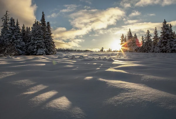 Sombra de um dragão de neve — Fotografia de Stock