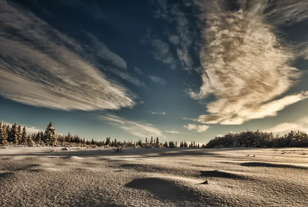 Alaska winter — Stockfoto