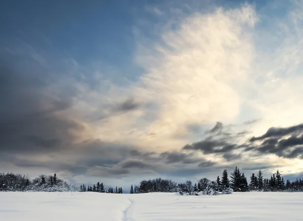 Vintersolnedgång — Stockfoto