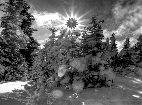 Aquí viene el sol — Foto de Stock