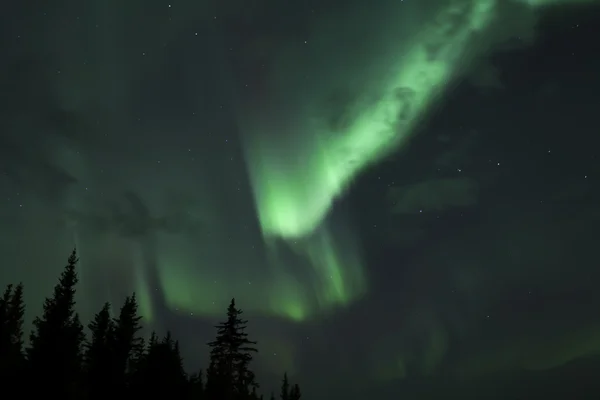 Luci settentrionali dell'Alaska — Foto Stock