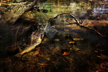 Stagnant Waters clipart
