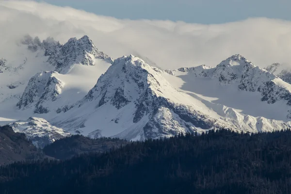 Picos de montaña de Kenai — Foto de Stock