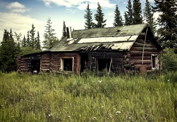 Opuszczony alaskan kabiny — Zdjęcie stockowe