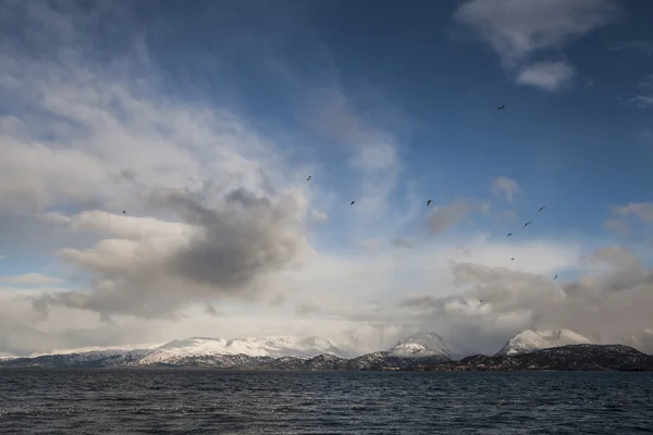 Nuvens, pássaros e o mar — Fotografia de Stock