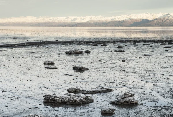 Bahía de Alaska congelada — Foto de Stock