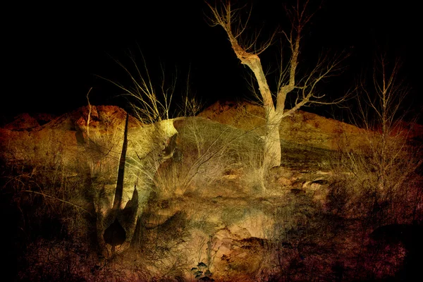 Wind, bones, and dust — Stock Photo, Image