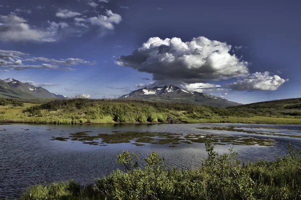 Yukon toprakları içinde yaz — Stok fotoğraf