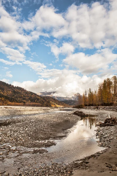 Caída en el río Chilkat — Foto de Stock