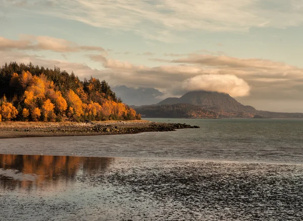 Kolory jesieni w brzegu — Zdjęcie stockowe