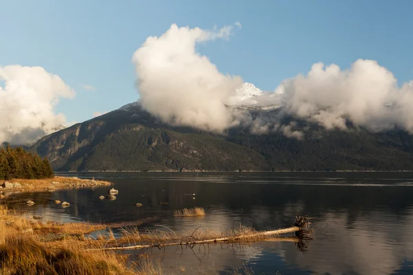 Caída en Portage Cove — Foto de Stock