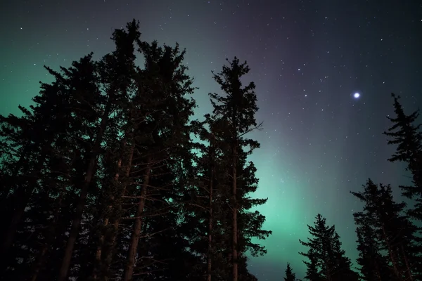 Schwaches Polarlicht — Stockfoto