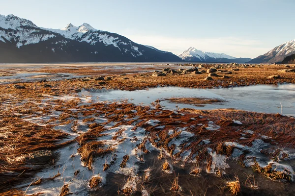 Januari is och sol — Stockfoto