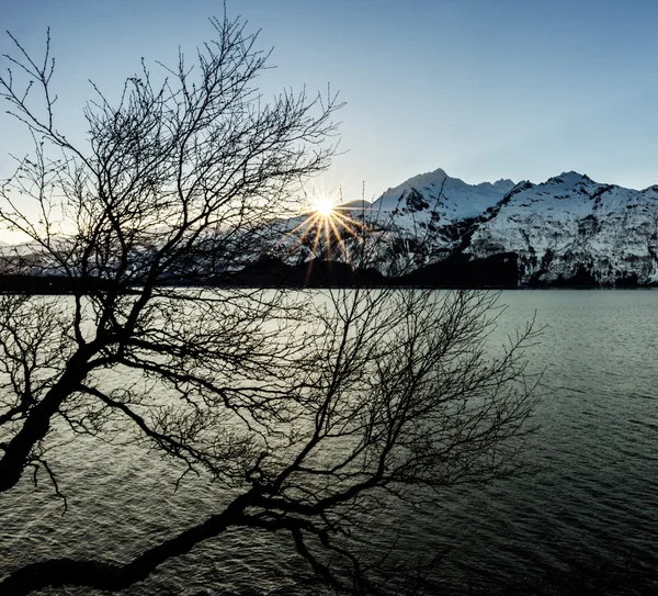 Zimní slunce sunburst — Stock fotografie