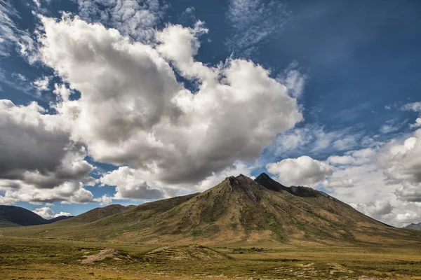 Yukon sommaren — Stockfoto