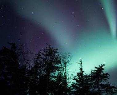Alaska Kuzey ışıkları