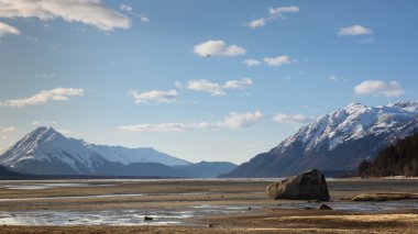 chilkat plaj düşük tide at