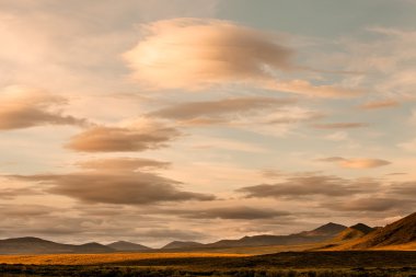 ışık ve Rüzgar dans