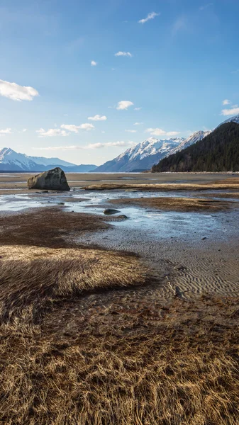 Meandri a bassa marea — Foto Stock