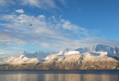 lynn canal üzerinden uçan