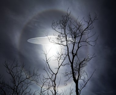 UFO ağaçları ile