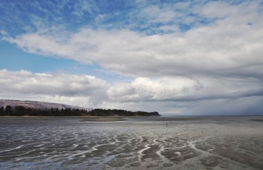 mudflats düşük tide at