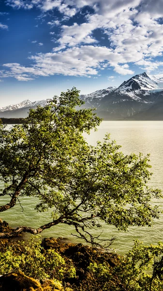 Sakin okyanus — Stok fotoğraf