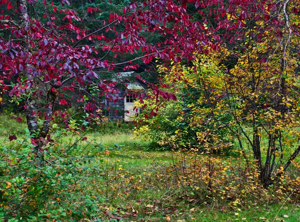 Cottage Rurale Con Foglie Rosse Gialle All Inizio Dell Autunno — Foto Stock