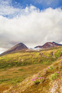 Highlands in Summer clipart