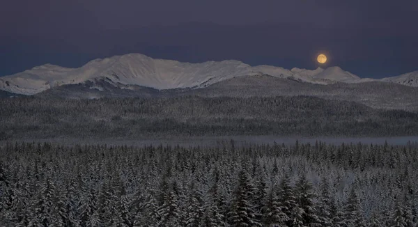 Fullmåne Väg Upp Över Snöiga Berg Sydöstra Alaska Med Skog — Stockfoto