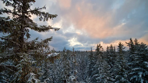 Nsansız Hava Aracı Günbatımında Güneydoğu Alaska Doğal Ormanın Üzerinde Uçuyor — Stok fotoğraf