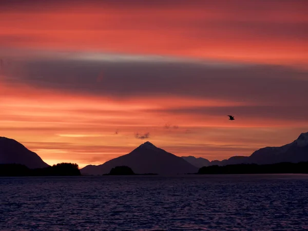 Hermosa Puesta Sol Sobre Agua Sudeste Alaska Con Una Gaviota — Foto de Stock